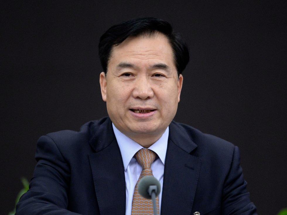 李希：推動粵港澳大灣區(qū)建設(shè)取得扎實成效